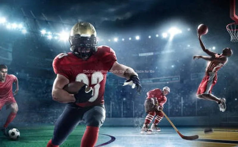 意昂3官方网页一径科技