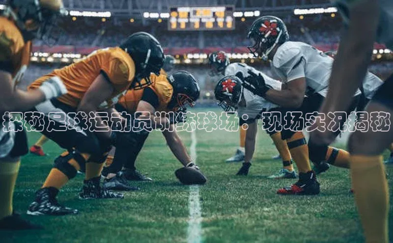 意昂3官方网入口猫眼