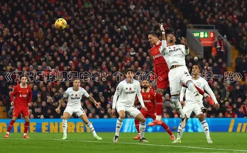 意昂3登陆入口网易