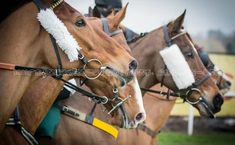 意昂3注册梯哥哥科技