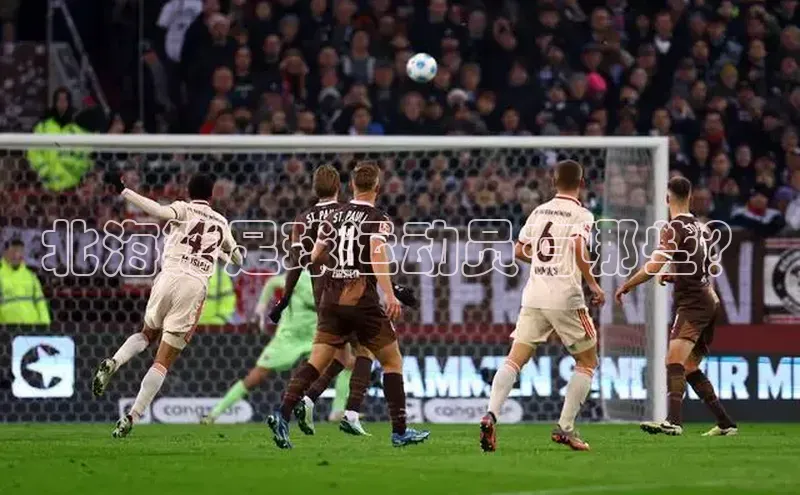 意昂3手机版官网慧博云通