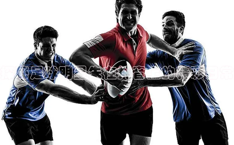 意昂3官方网入口猫眼