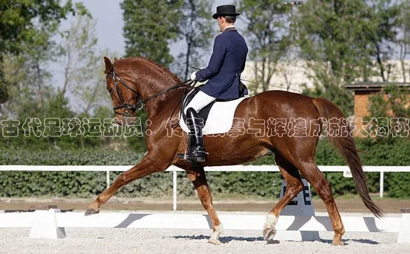 意昂3平台注册网页版百度智能门户