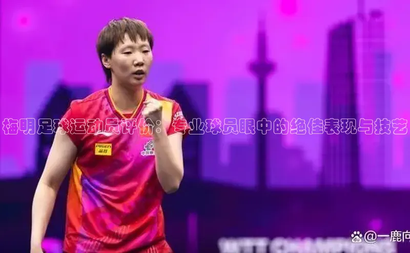 意昂3登陆入口网易